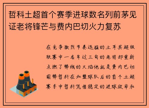 哲科土超首个赛季进球数名列前茅见证老将锋芒与费内巴切火力复苏